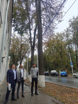 27 сентября состоялся выход мониторинговой группы по оценке состояния зелёных насаждений на улицы Баженова, Тульская и Кутузова