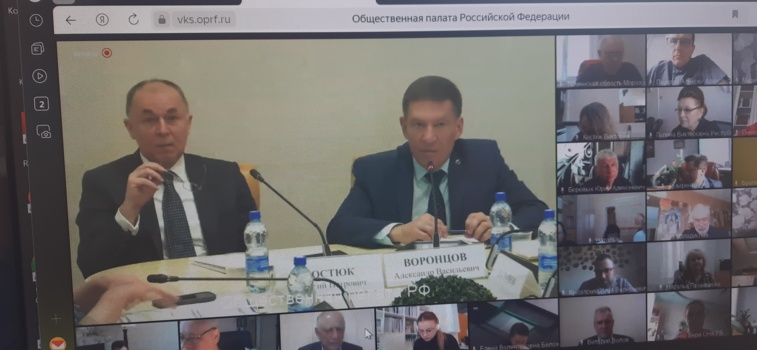 В Общественной палате Российской Федерации обсудили вопрос общественного контроля в медицинских организациях